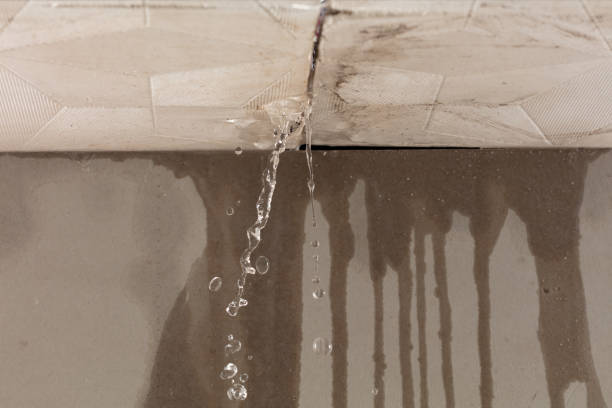 Professional Sewage Cleanup technician working in Twin Peaks, CA